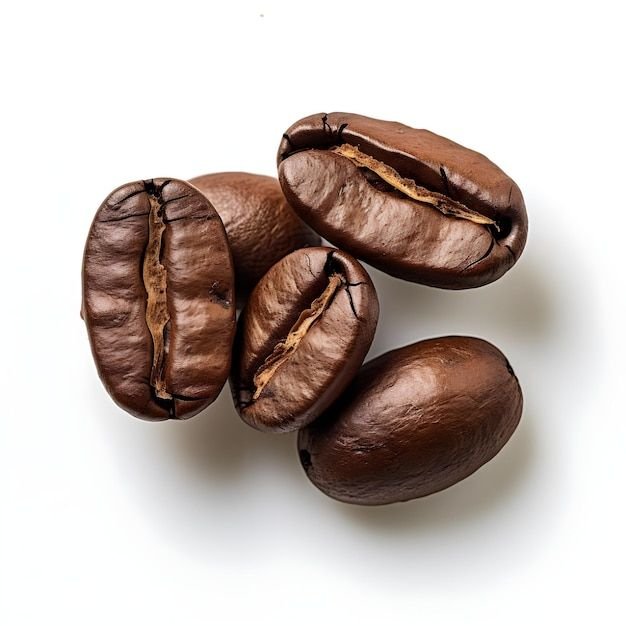 Premium Photo _ Professional closeup shot of coffee beans national geographic documentary photo Premium Photo _ Professional closeup shot of coffee beans national geographic documentary photo